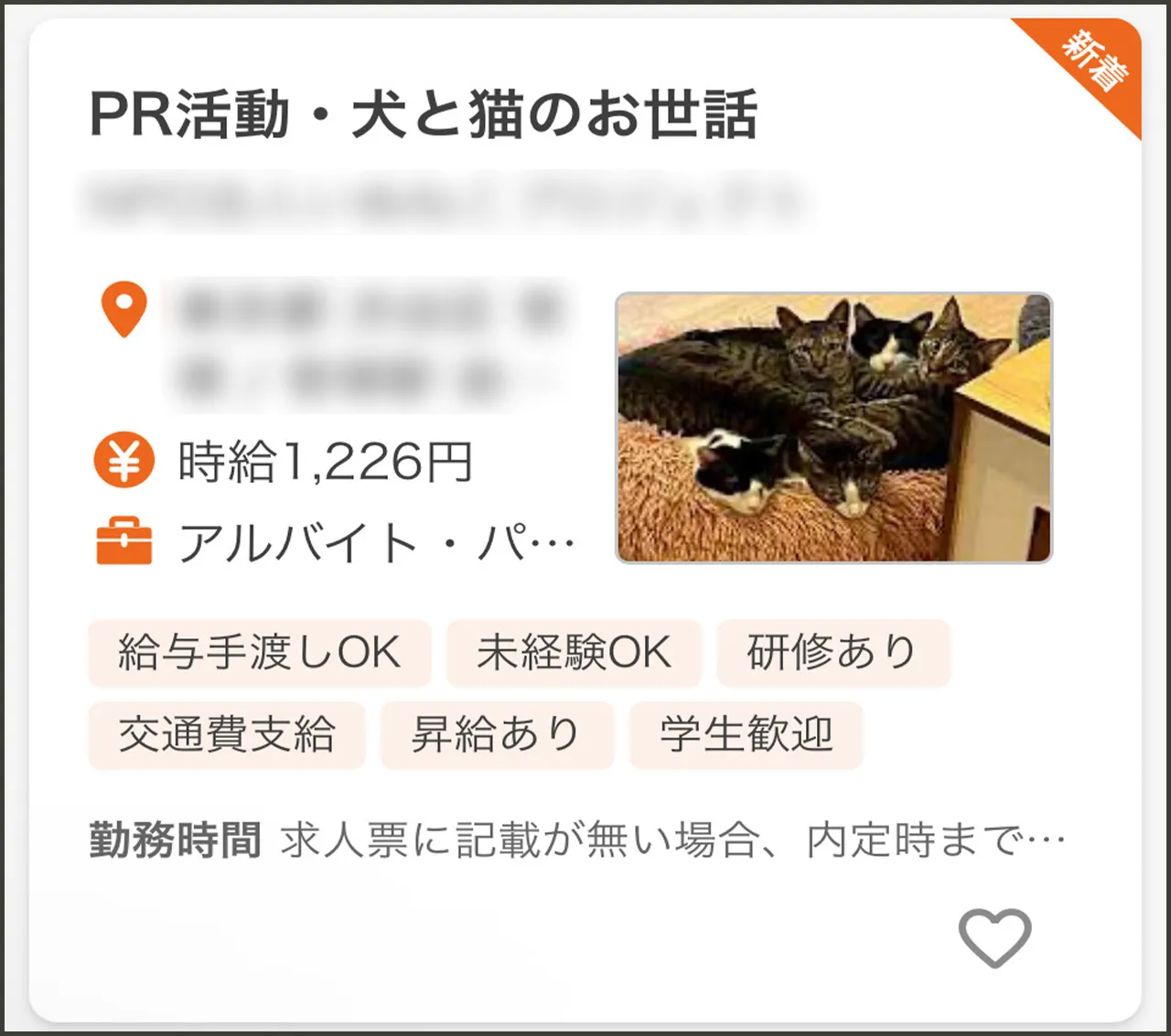 日払い 保護猫