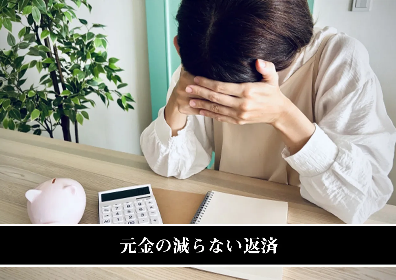 元金の減らない返済