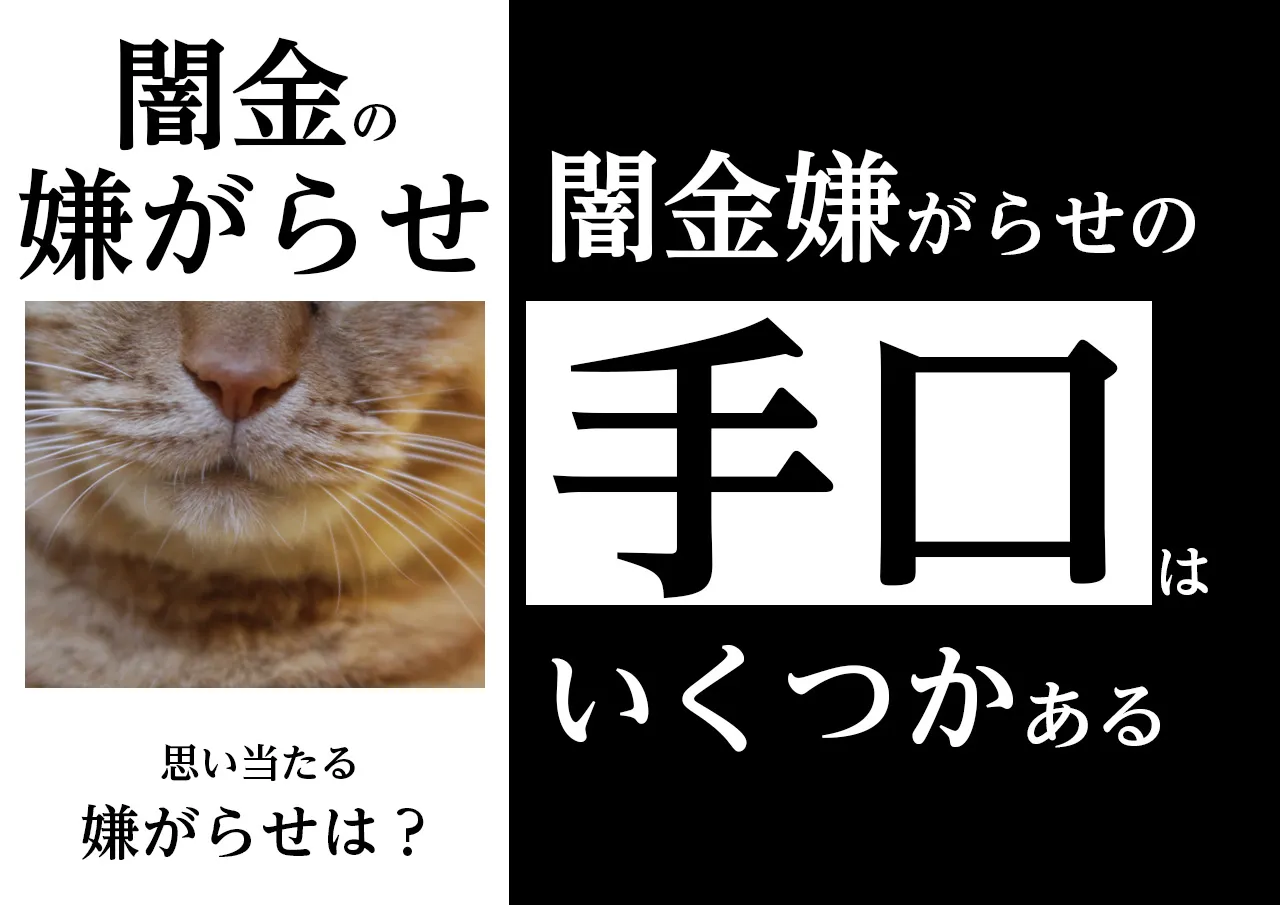 手口|借りていなくても闇金はあらゆる嫌がらせをする