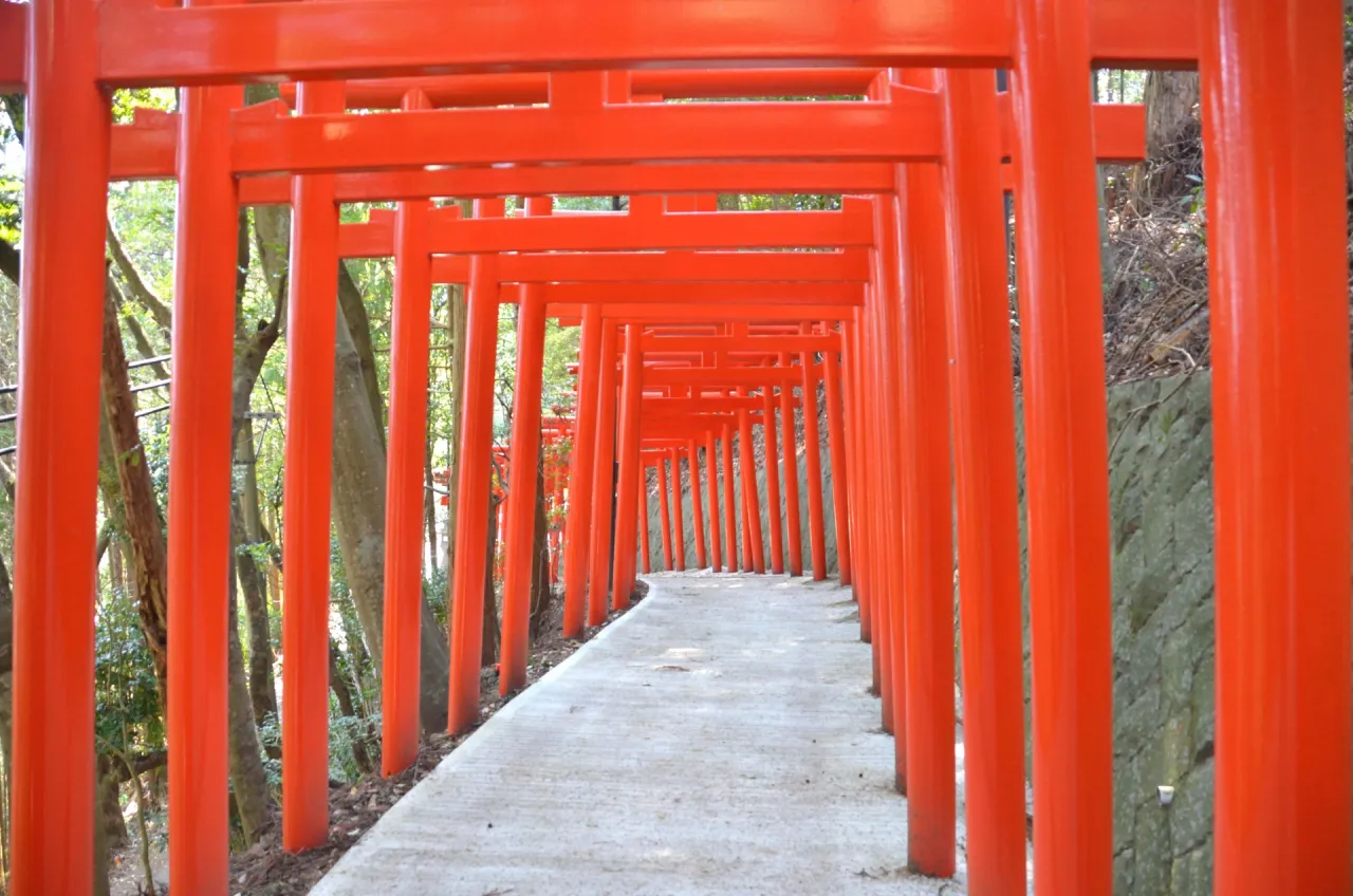 金剛生駒紀泉国定公園鳥居