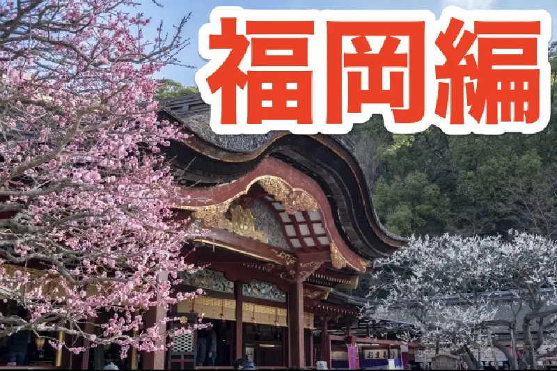 福岡・北九州の闇金に強い弁護士・司法書士を厳選して紹介！