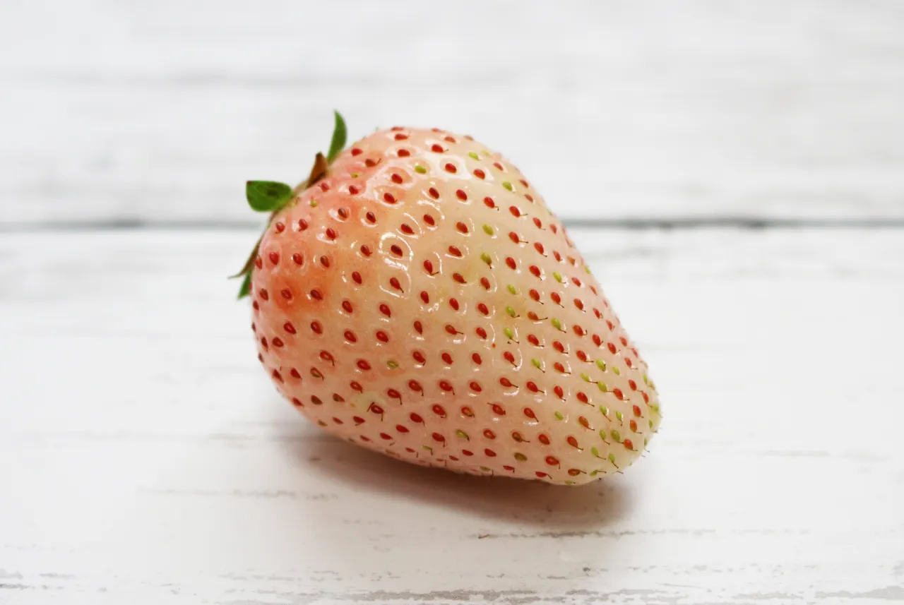 ミルキーベリー